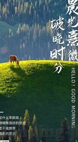 淘宝彩票足球比分直播-淘宝彩票足球比分直播，球迷的实时观赛新体验